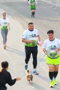 BIB: 
                            <button type="button" onclick="openModal(3552882)" class="btn btn-primary btn-sm float-right btn-popup" data-toggle="modal" data-target=".modal-high-quality">
                        <i class="fas fa-shopping-cart"></i> Add to Cart
                    </button>
                                            <button type="button" onclick="isThisMe(3552882, true)" class="btn btn-success btn-sm float-right btn-popup btn-isme hidden" data-toggle="tooltip" data-placement="bottom" title="นี่คือรูปของคุณใช่ไหม คลิกที่นี่เพื่อเอาเข้าอัลบั้ม">
                        <i class="fas fa-plus"></i> Add to album
                    </button>
                    <button type="button" onclick="isThisMe(3552882, false)" class="btn btn-warning btn-sm float-right btn-popup btn-isnotme hidden">
                        <i class="fas fa-ban"></i> Remove from album
                    </button>